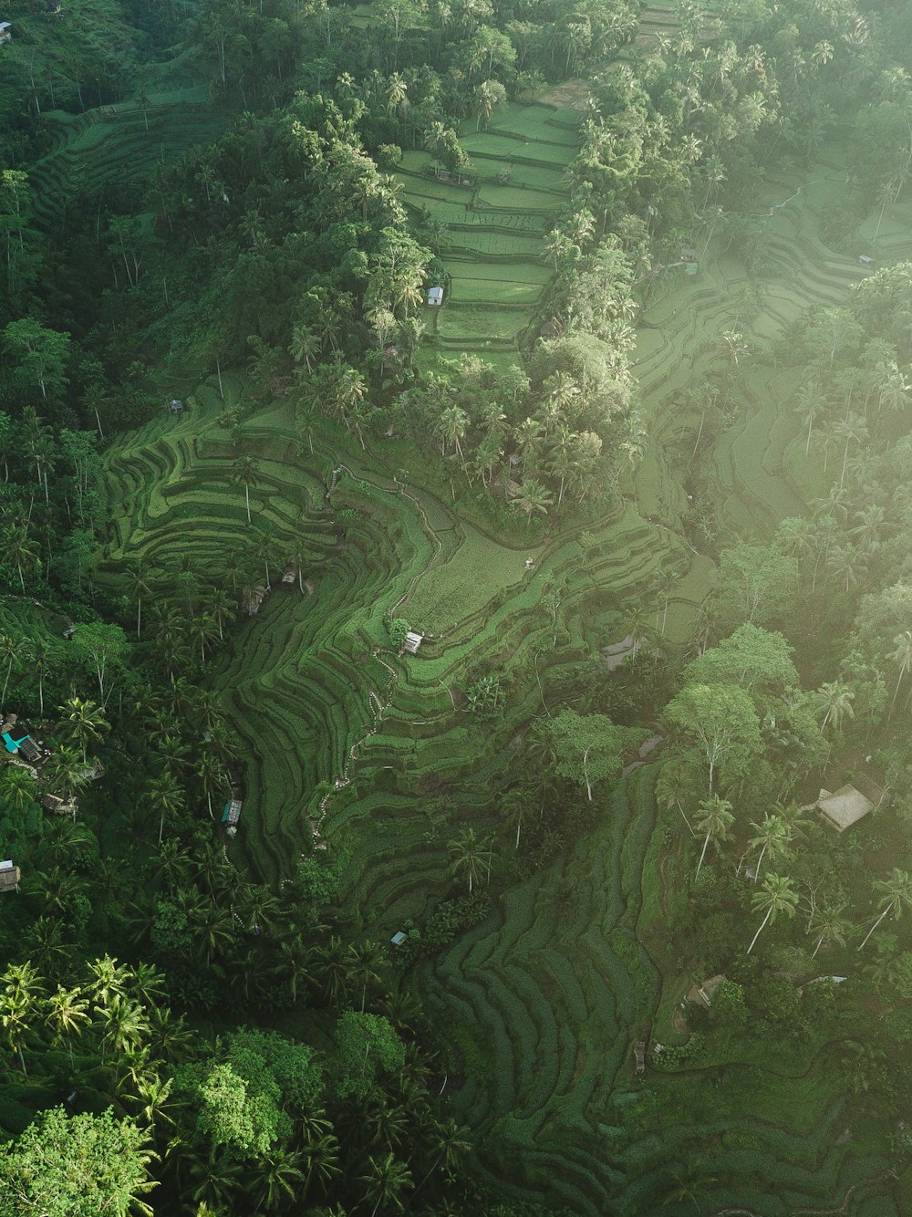 Tegallalang, Bali